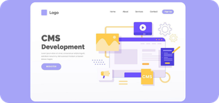 CMS Development