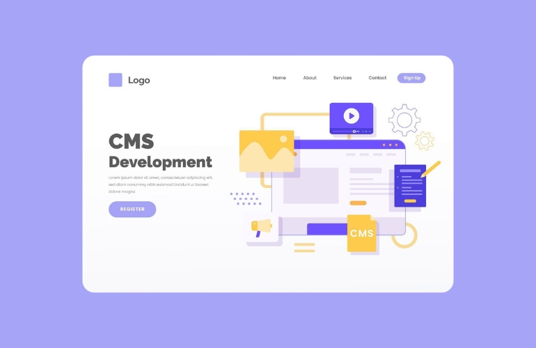 CMS development