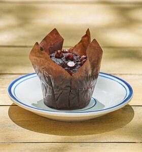Beet Double Choc Muffin